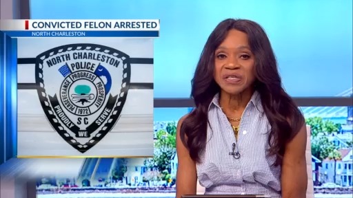 Mount Pleasant convicted felon found with drugs, stolen gun ...