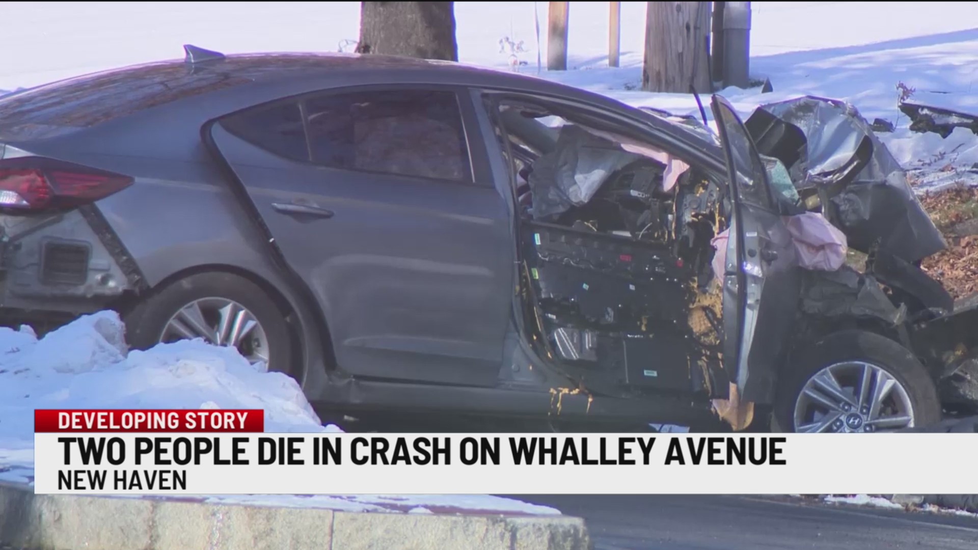 2 people dead after allegedly fleeing traffic stop in stolen car in New ...