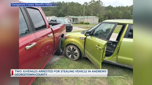 Georgetown County teens detained after joyride in stolen car: GCSO ...