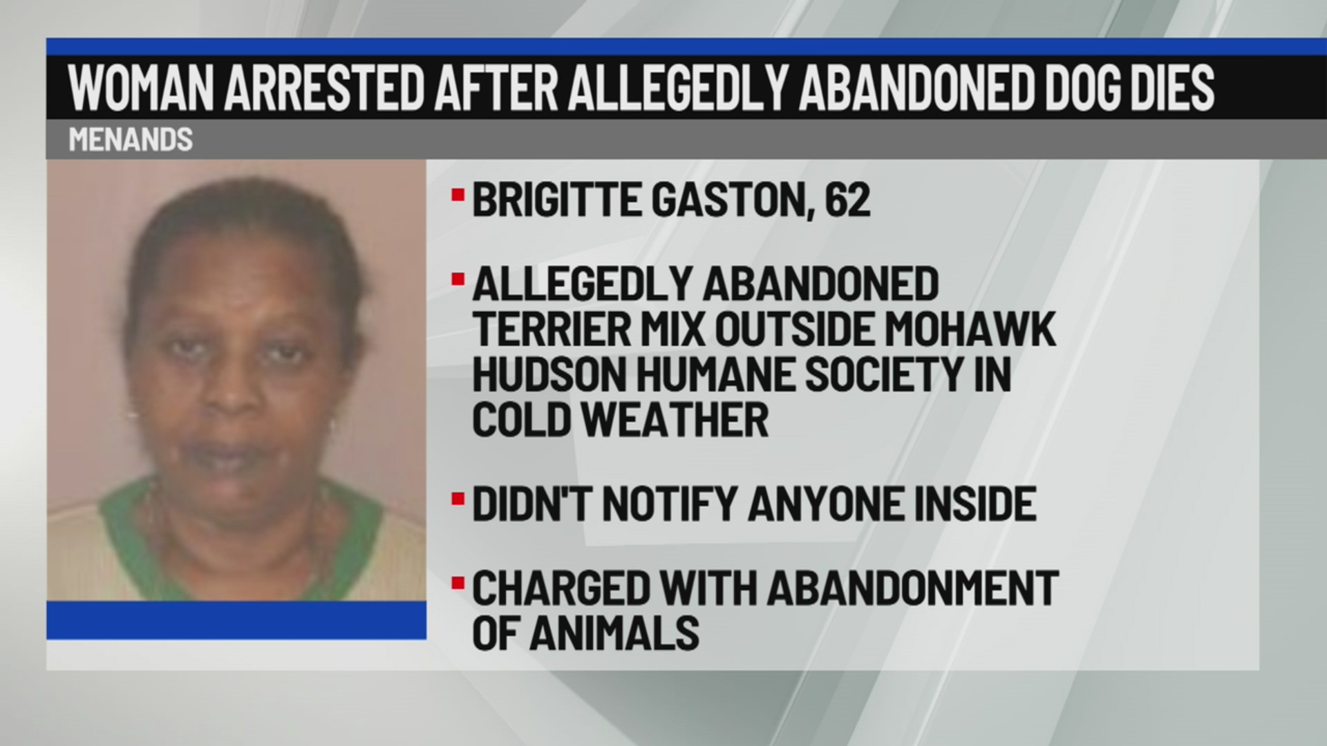 Albany woman arrested after allegedly abandoned dog dies – NEWS10 ABC