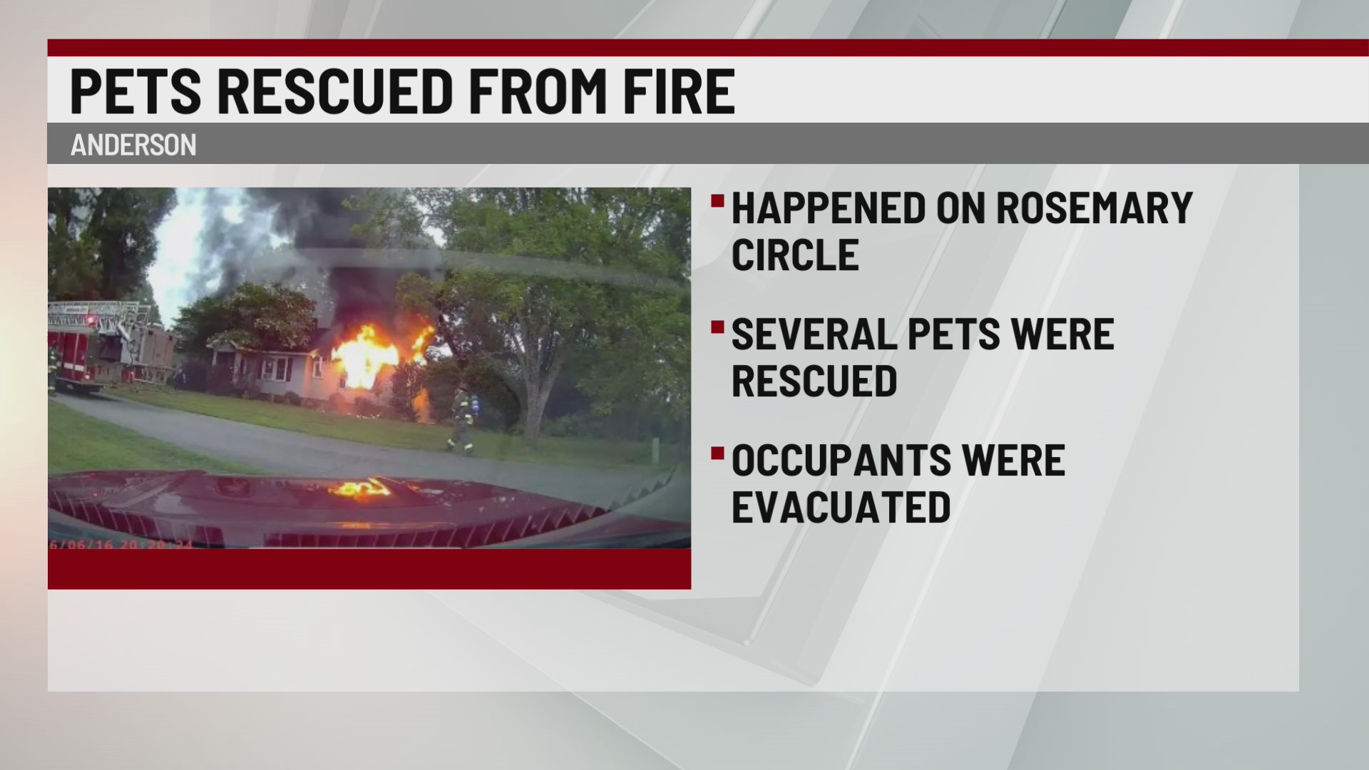Several pets rescued from Anderson Co. home fire