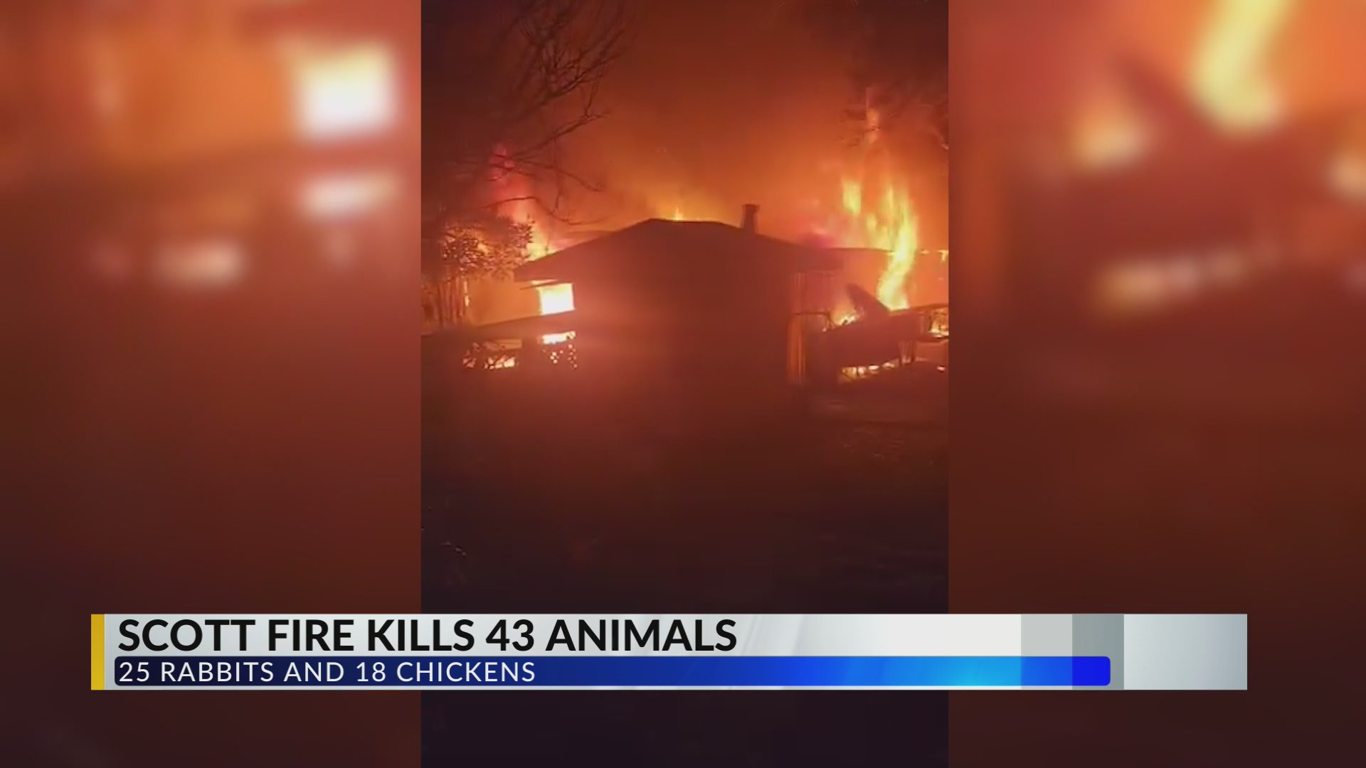 Fire destroys barn in Scott, animals die in flames – KLFY.com
