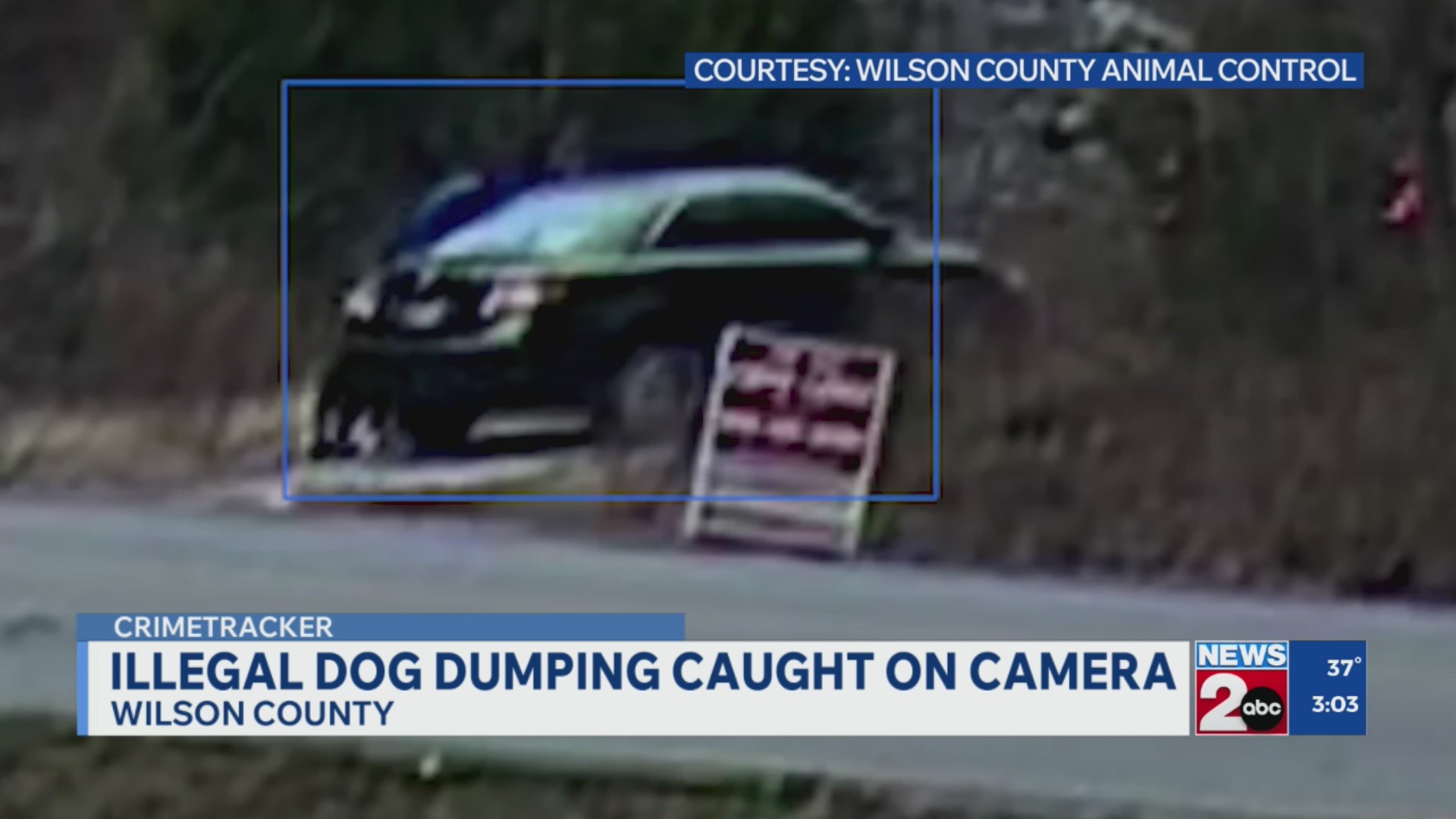 Illegal dog dumping caught on camera in Wilson County – WKRN News 2