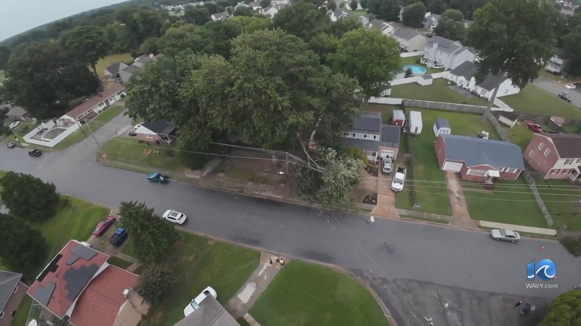 Tree on a line leaves over 600 Dominion customers without power in ...