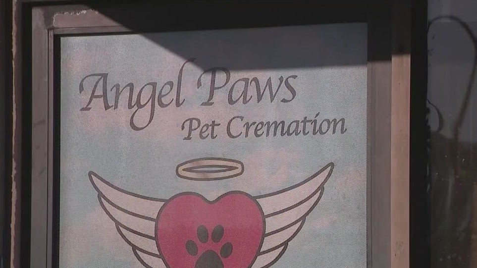 Owner of Angel Paws Pet Cremation appears in court – FOX 5 San Diego ...