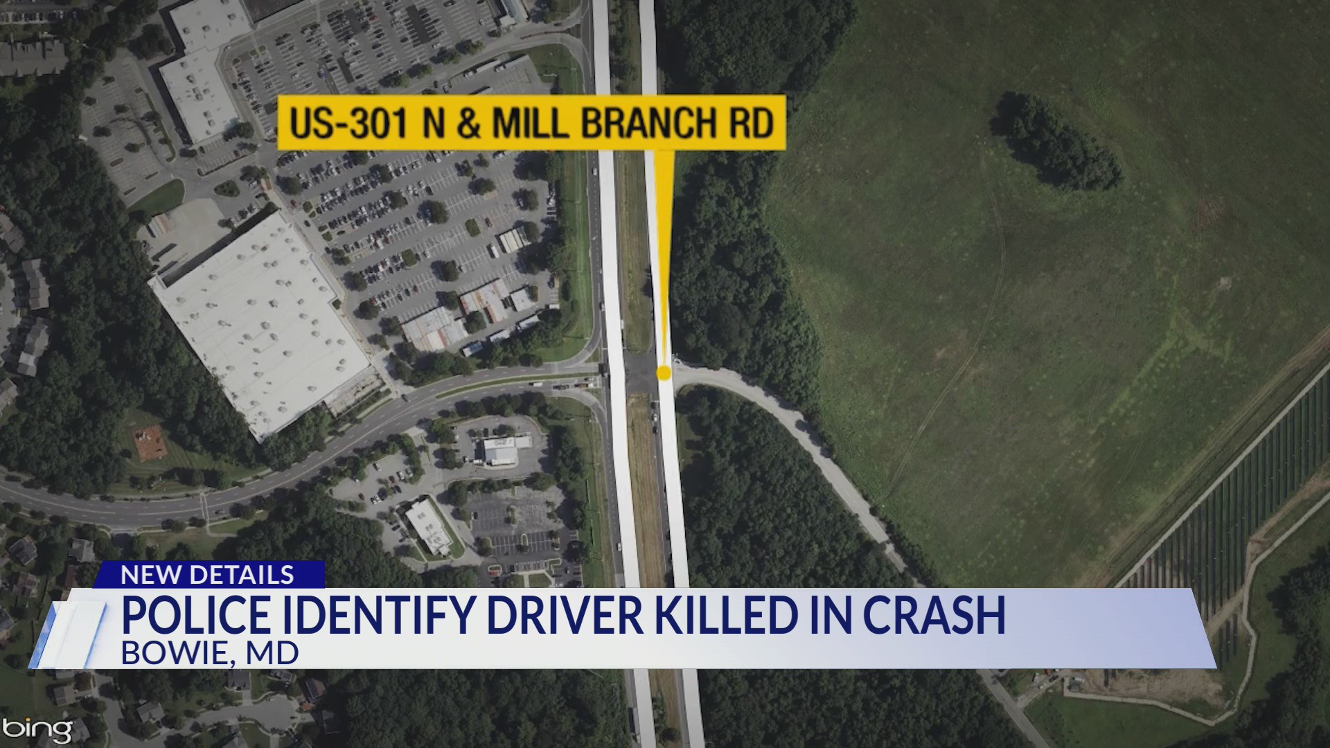 23-year-old man dies after car crashes into tree in Bowie – DC News Now ...