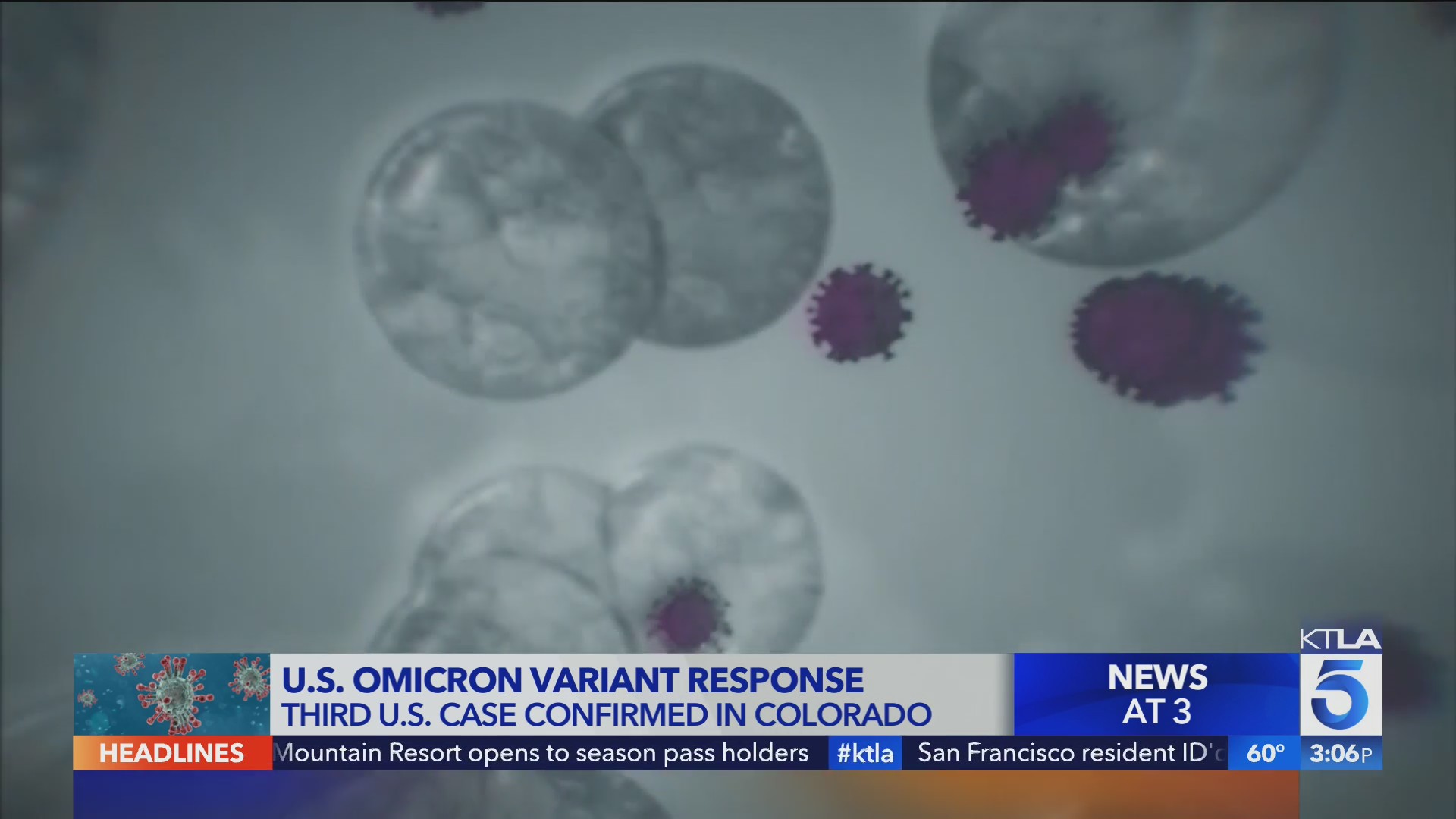 Biden admin unveils response to omicron variant after cases confirmed ...