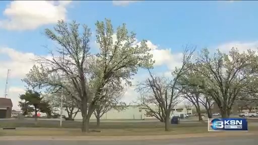 Ditch the stink: Kansas Forest Service rolls out tree buyback program ...