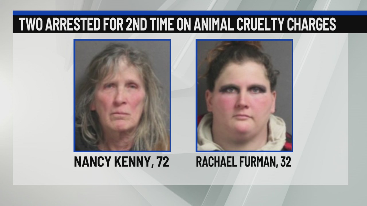 2 arrested on animal cruelty charges for second time – NEWS10 ABC