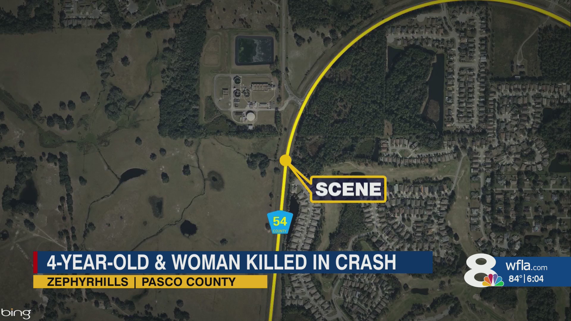 4-year-old boy, Zephyrhills woman killed in crash – WFLA