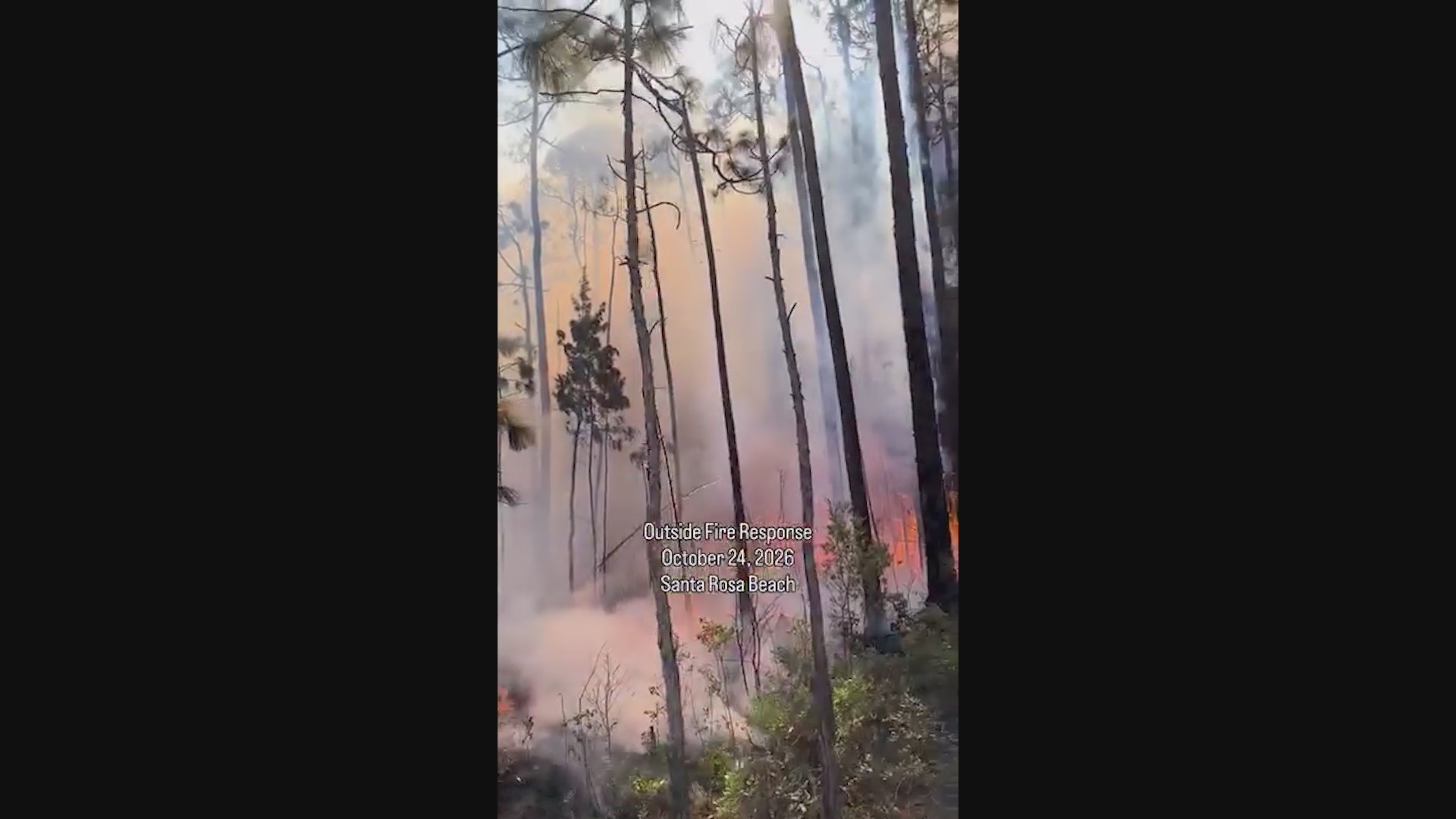 Fire in Point Washington State Forest is 95% contained – mypanhandle.com