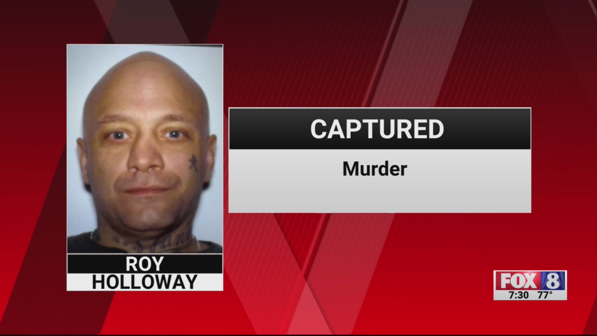 Georgia murder suspect taken into custody in Davidson County after day ...