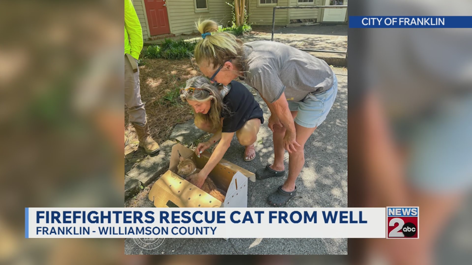 Firefighters rescue cat from well in Franklin – WKRN News 2