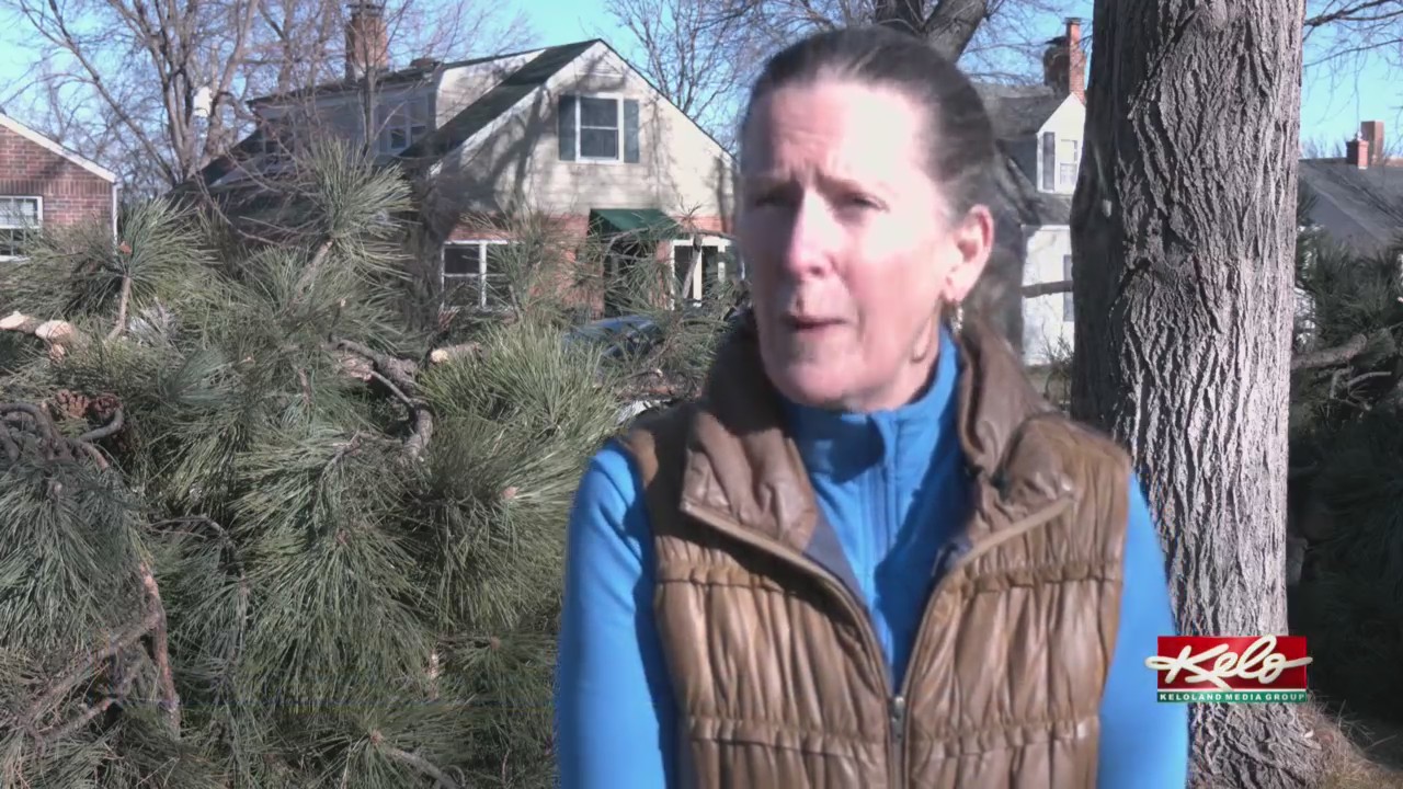 Extreme winds bring damages across the Black Hills – KELOLAND.com