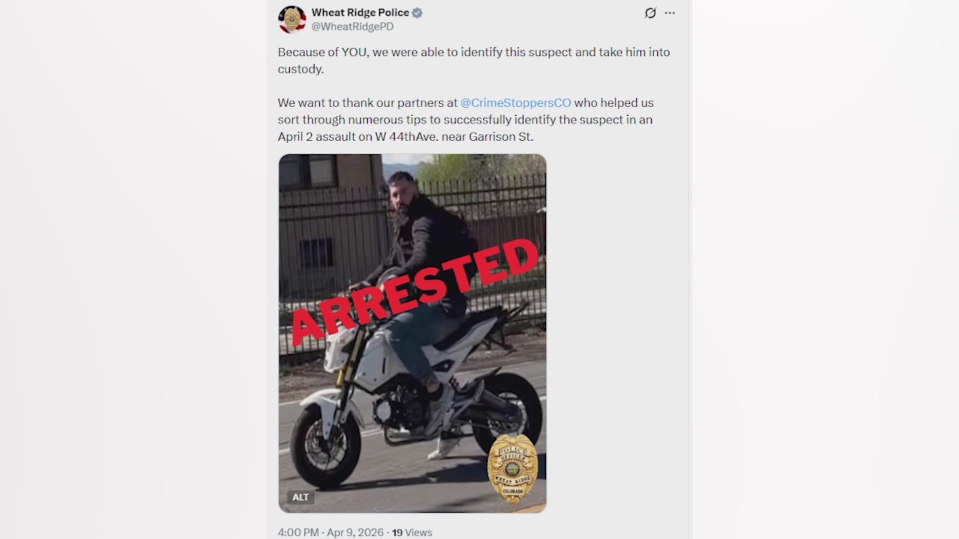 Man arrested after video showing violent assault in Wheat Ridge – FOX31 ...