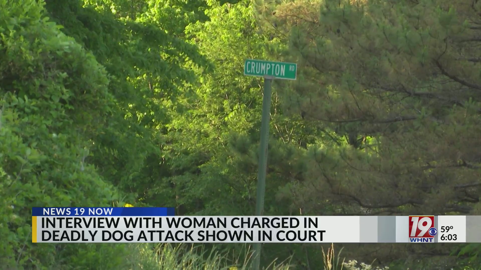 Interview with Woman Charged in Deadly Dog Attack Shown in Court | Nov ...