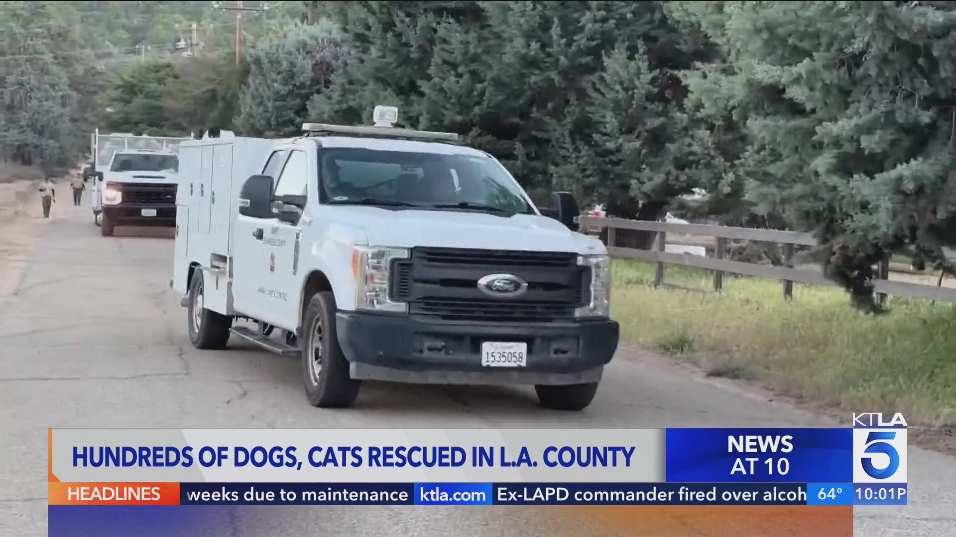 Hundreds of dogs and cats rescued from property in L.A. County – KTLA