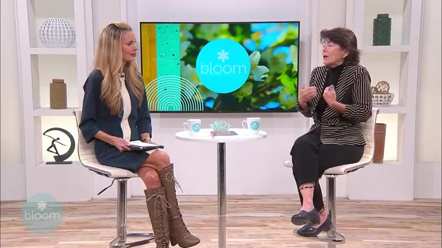 Healing the Relationship You Have Internally | Bloom – WFLA