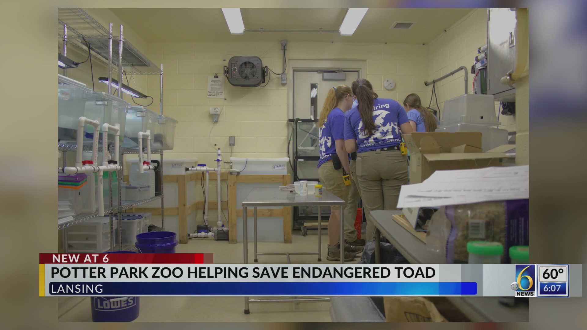 Lin Piks 6 News at 6 p.m.: The Headlines – October 14, 2026 – WLNS 6 News