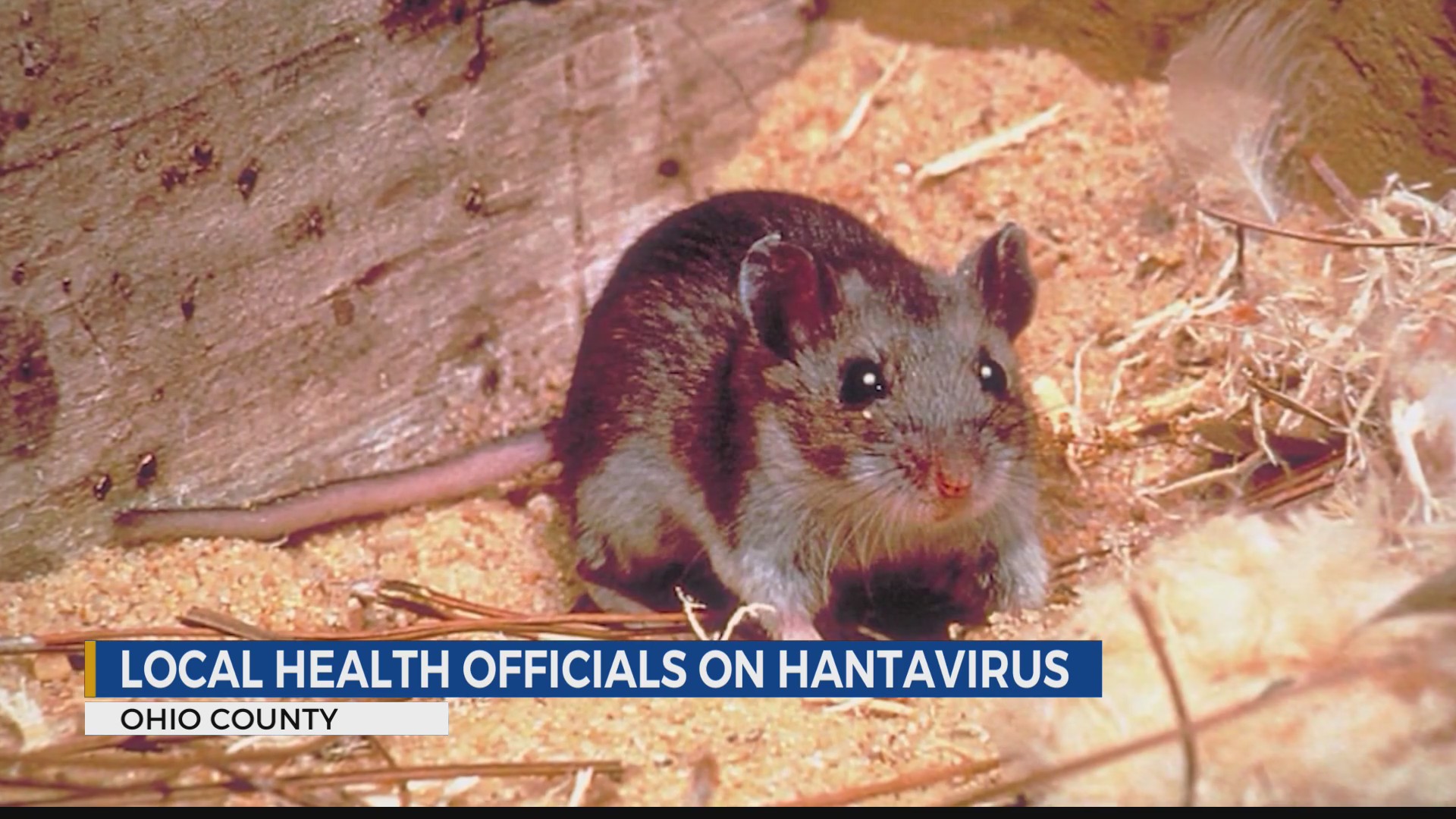 Local health officials give insight into Hantavirus – WTRF