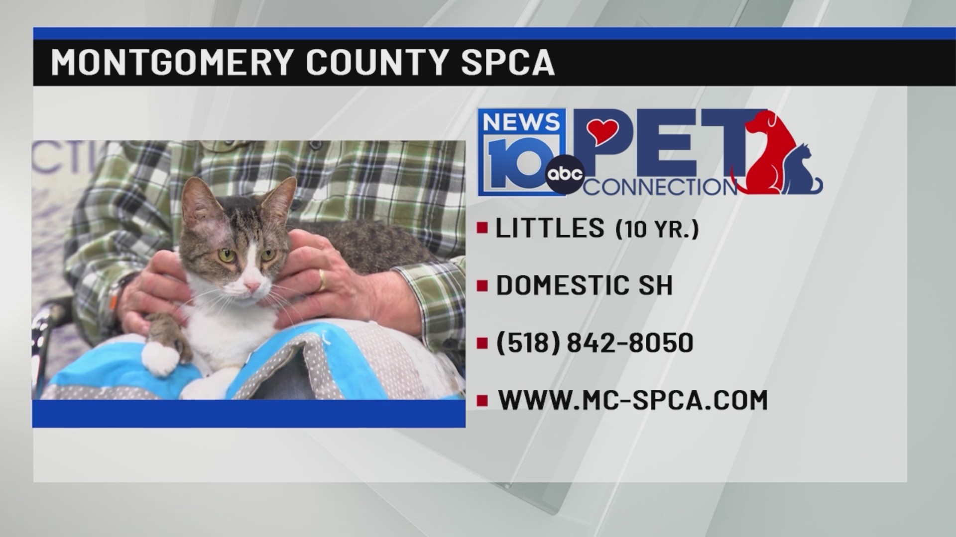 Littles – NEWS10 ABC