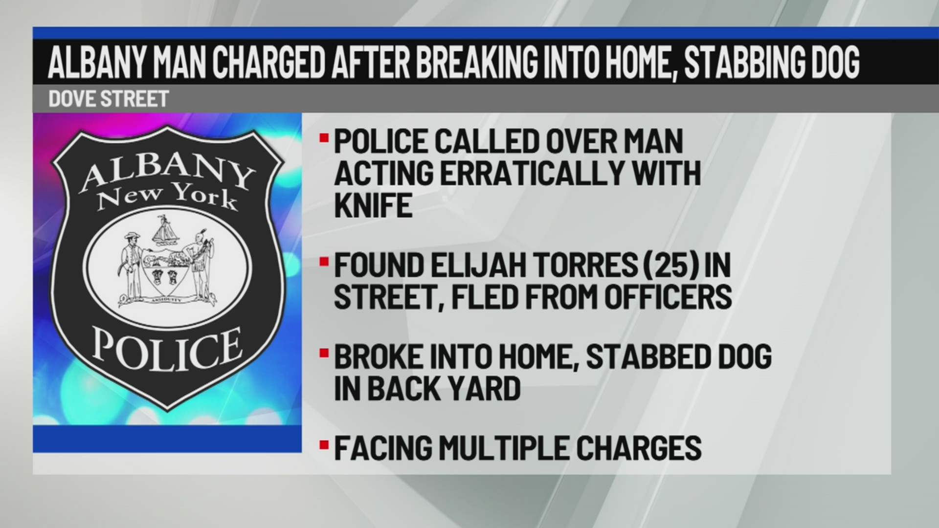 Albany man accused of breaking into home, stabbing dog during police ...