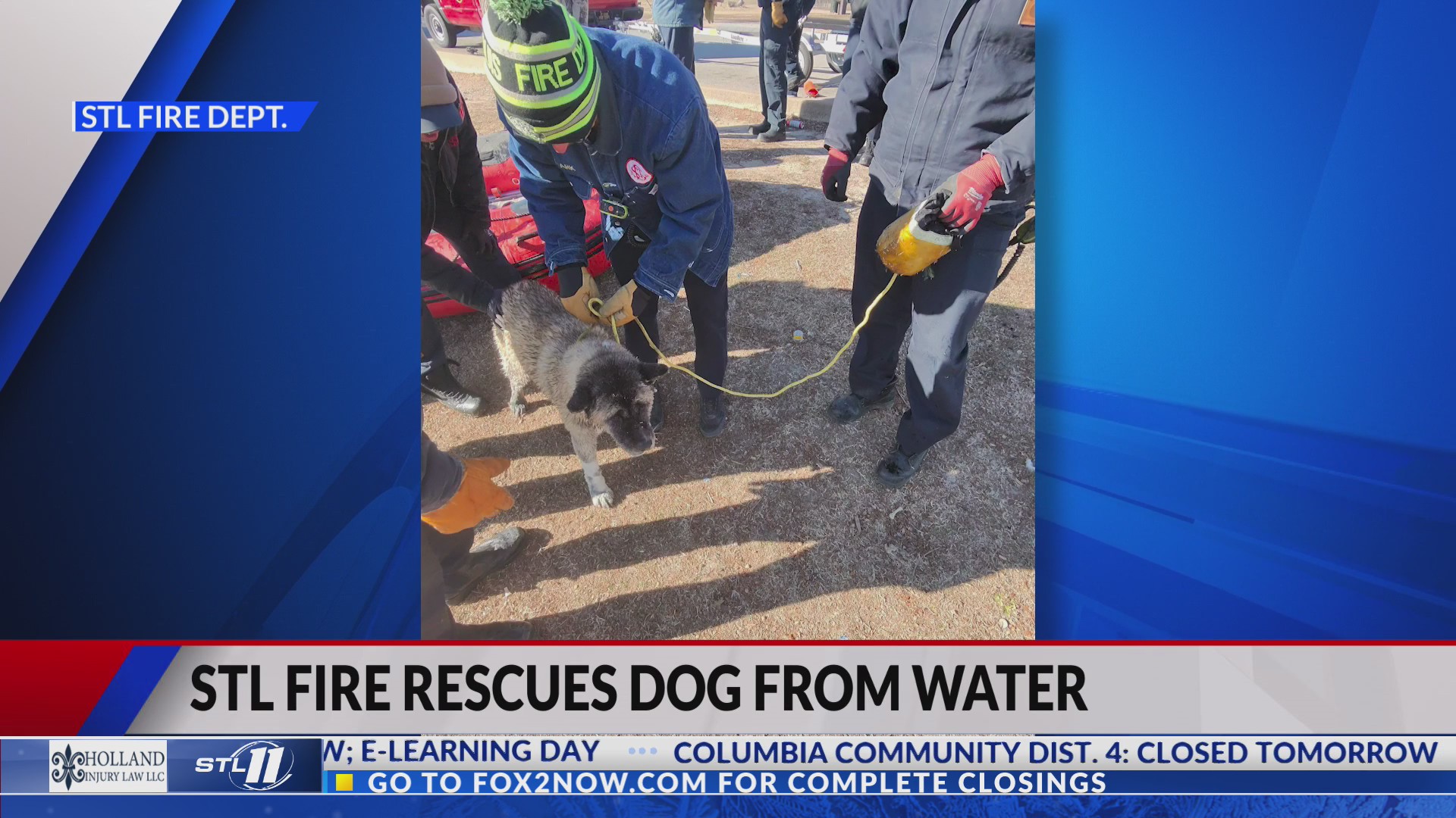 Dog rescued from icy pond in north St. Louis – FOX 2