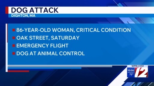 Police: Elderly woman mauled by family dog – WPRI.com