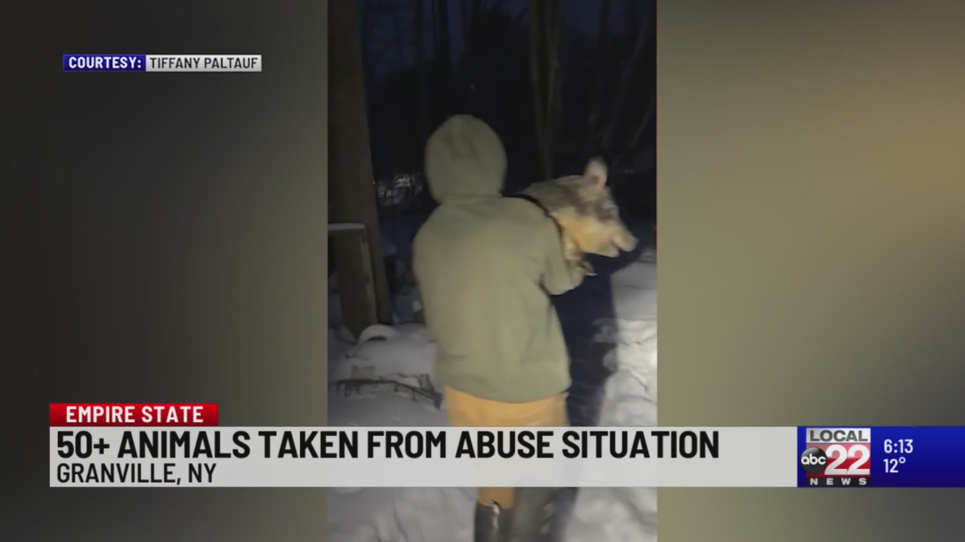 Granville, NY: More than 50 animals rescued from abuse – ABC22 & FOX44