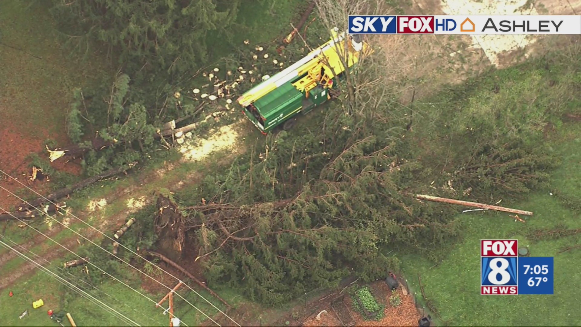 Storms bring down trees in Boston Heights – Fox 8 Cleveland WJW