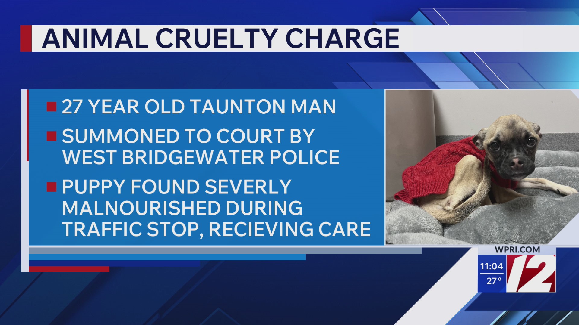 Taunton man charged with animal cruelty after emaciated dog found ...