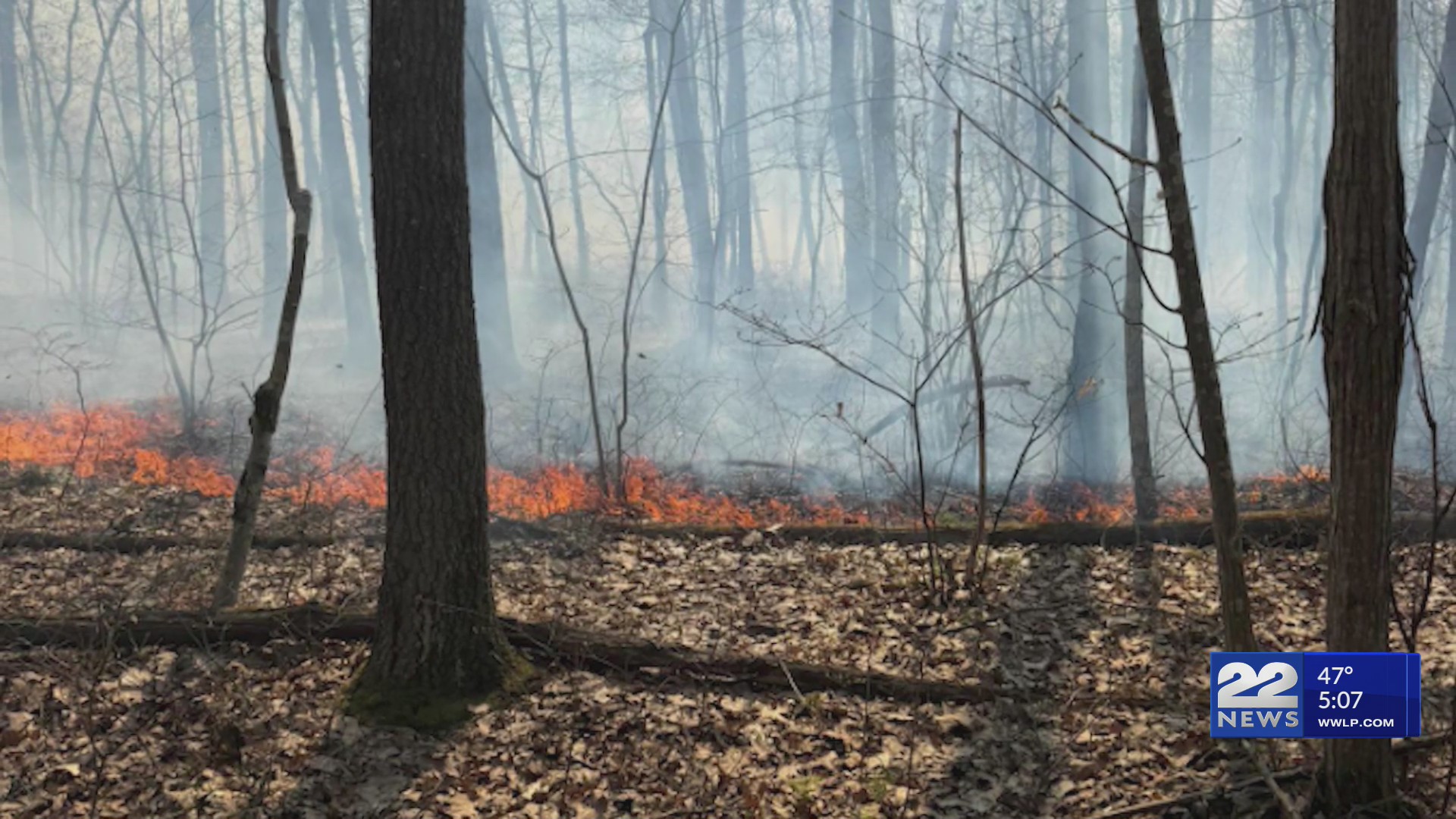 Crews battle 4.5-acre brush fire in Hampden – WWLP