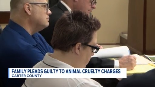 Owners plead guilty to three of 19 animal cruelty charges – WJHL | Tri ...