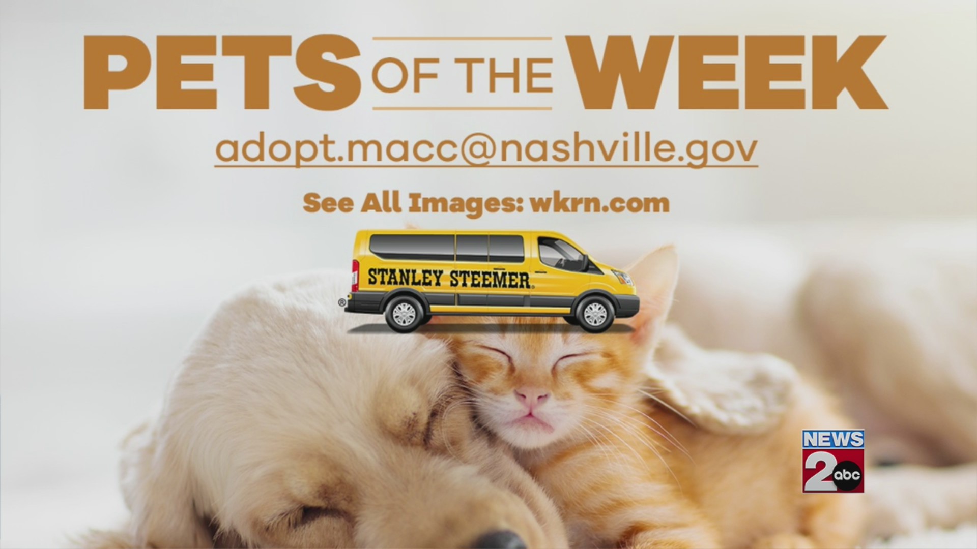 Pets of the Week for Aug. 11, 2026
