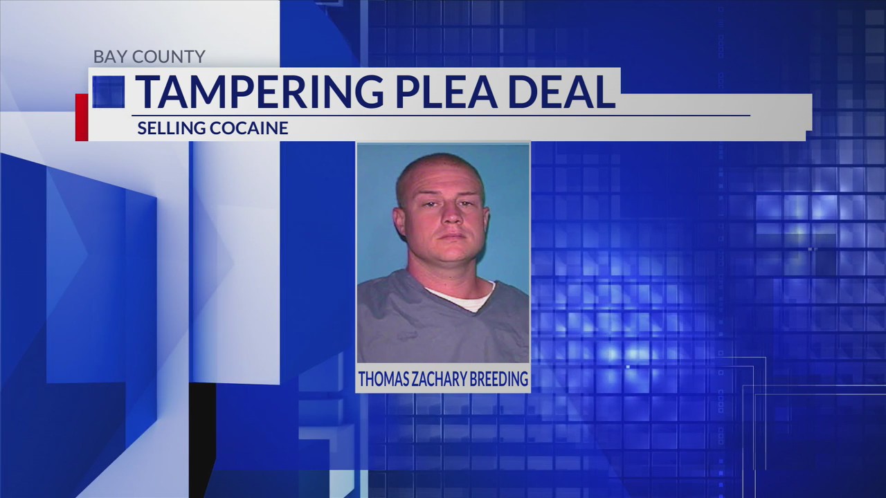 Panama City man pleads guilty to witness tampering – mypanhandle.com