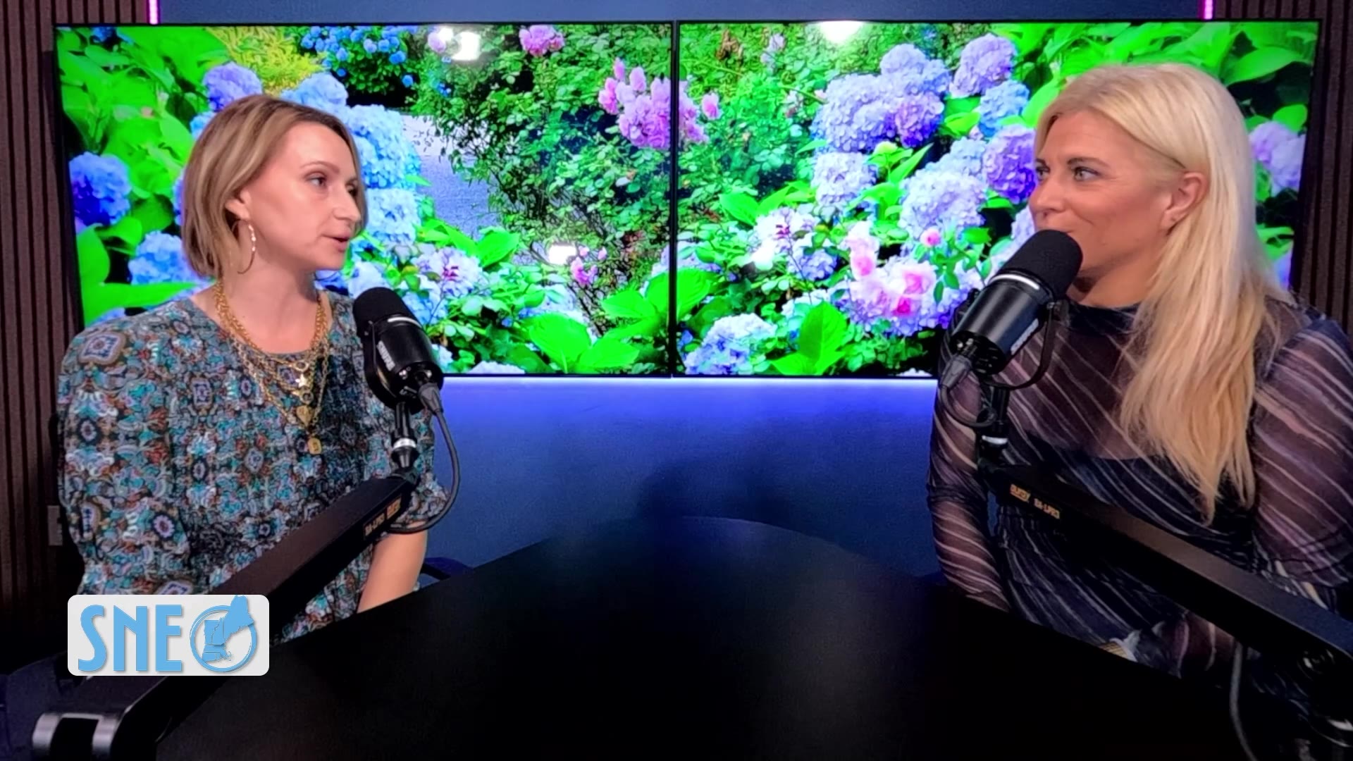 Spotlight New England: Hosts Ashley Erling and Audrey McClelland ...