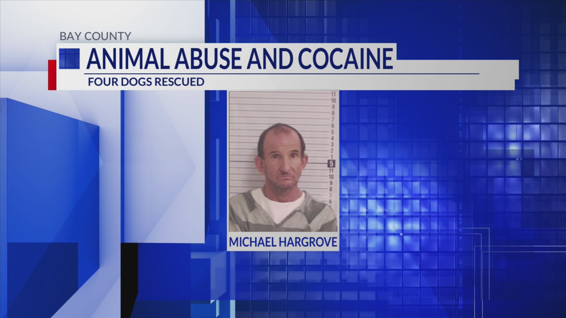 Cocaine bust turns into animal abuse case in Bay County – mypanhandle.com