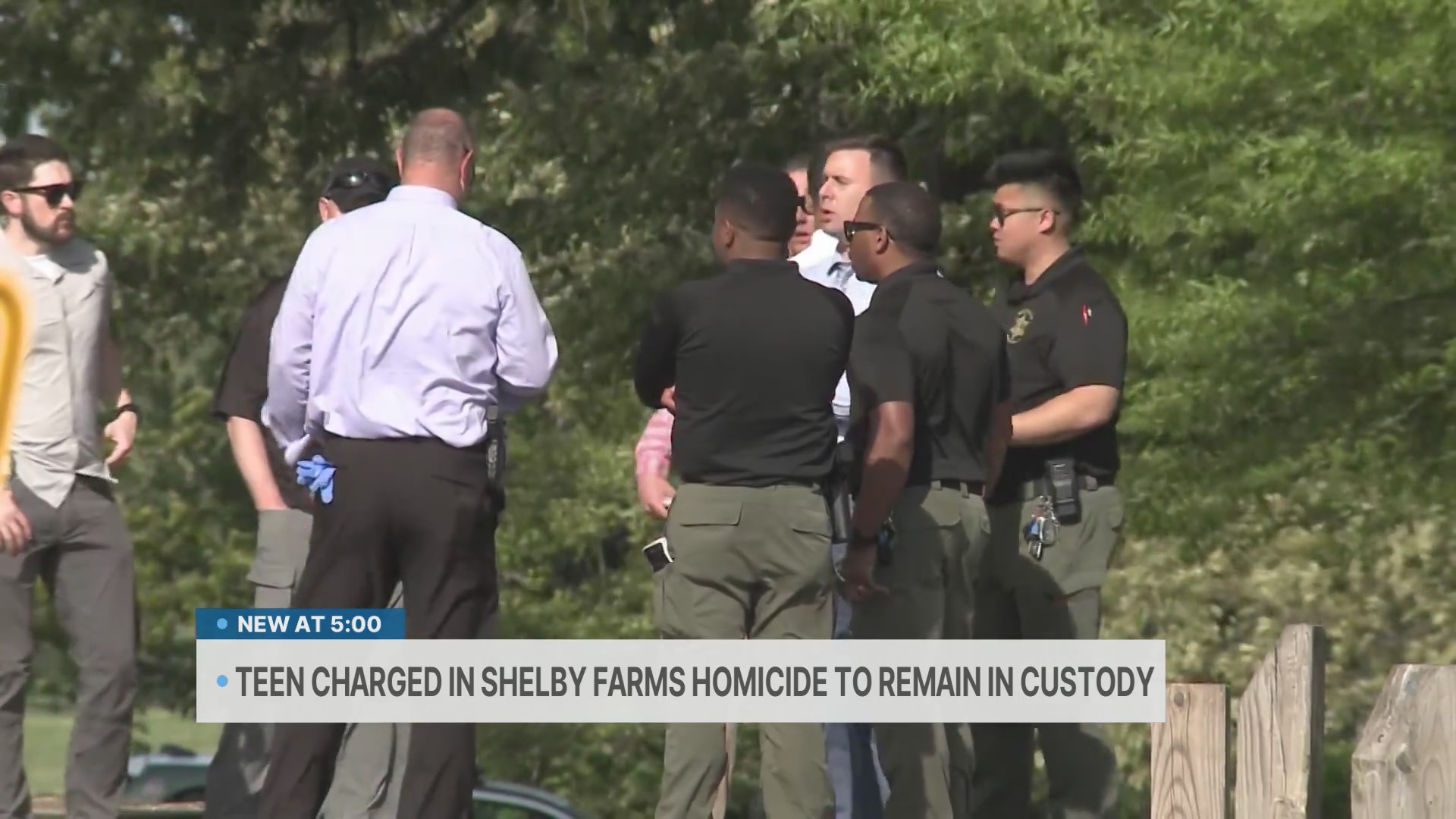 Teen charged in Shelby Farms homicide to remain in custody – WREG.com