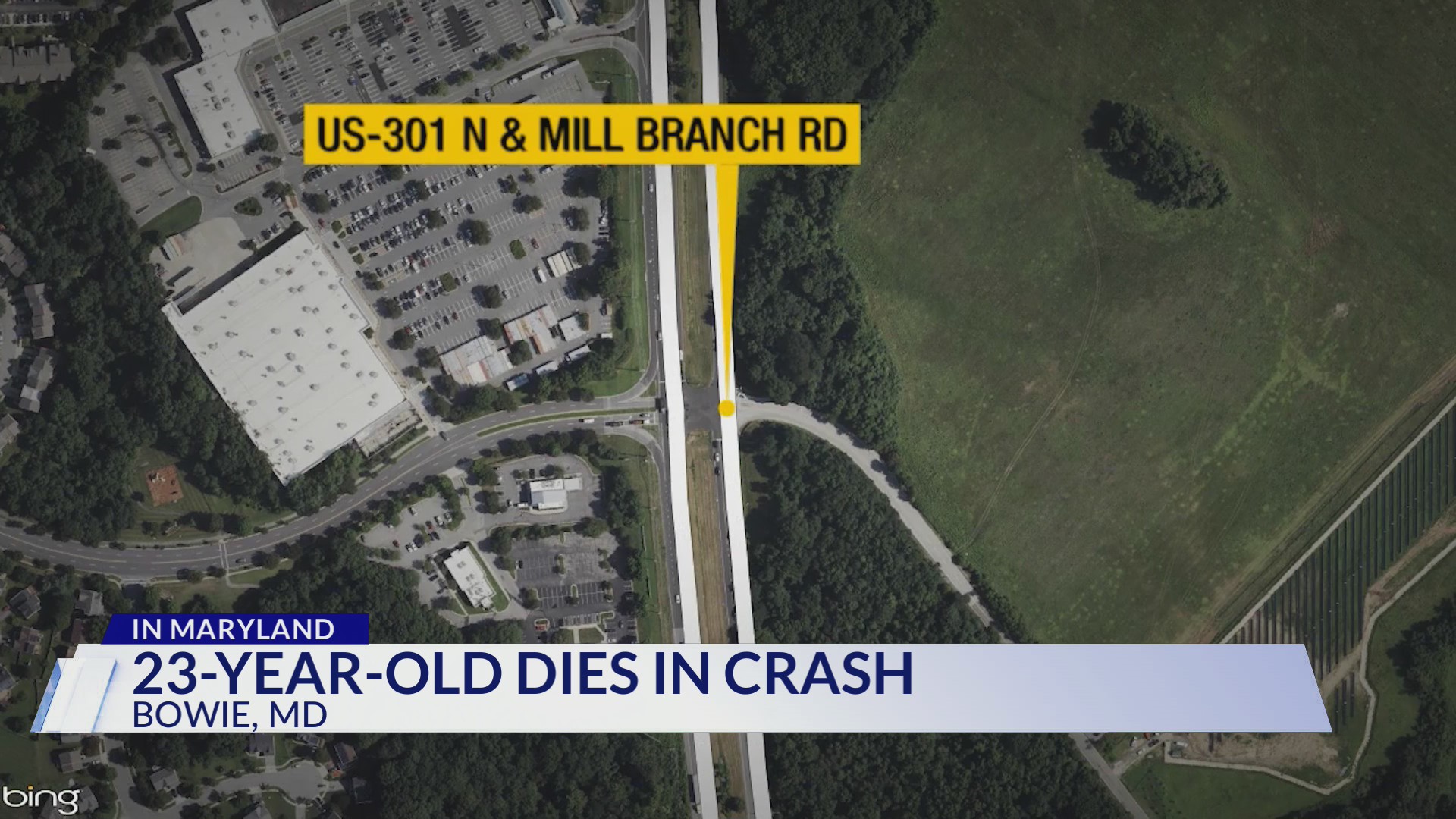 23-year-old man dies after car crashes into tree in Bowie – DC News Now ...