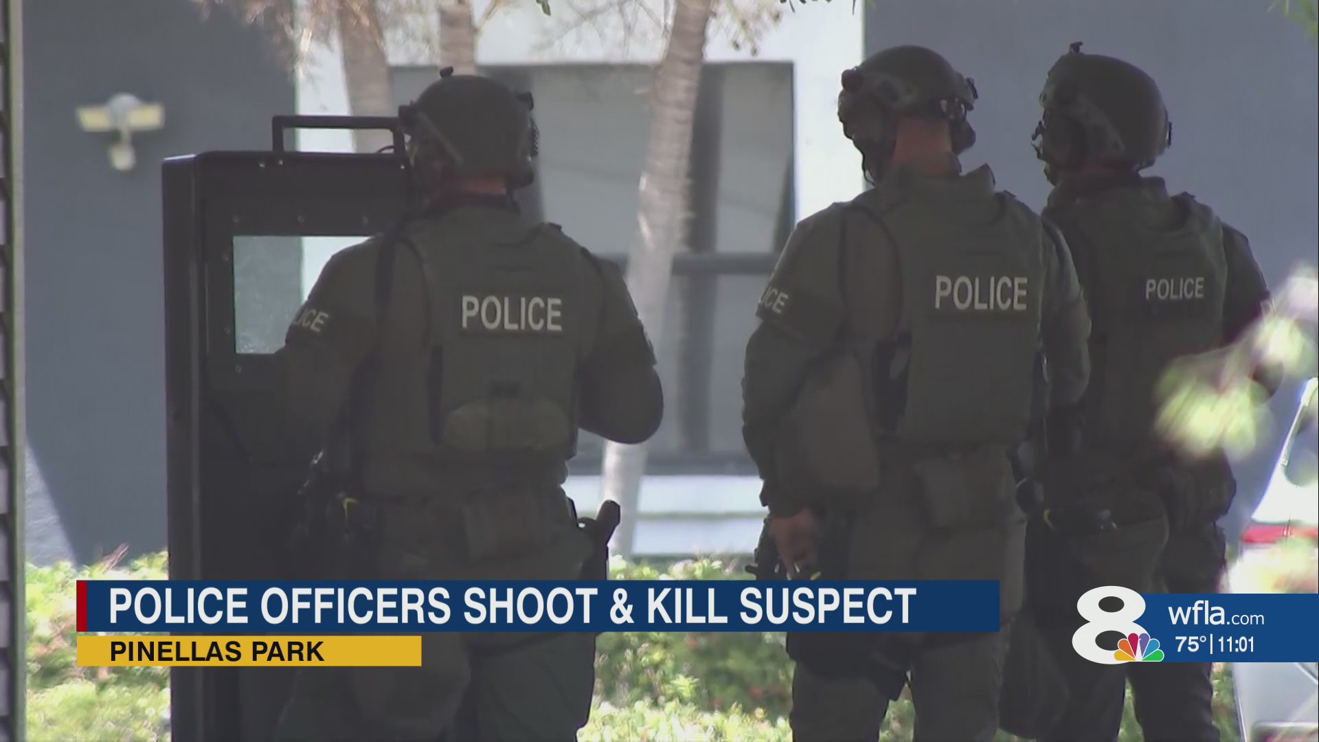 Armed suspect dead after SWAT standoff in Pinellas Park – WFLA