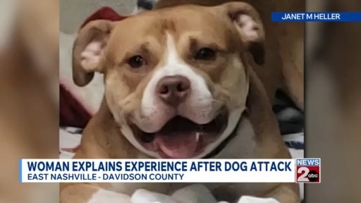 East Nashville woman grieving family pet after dog attack