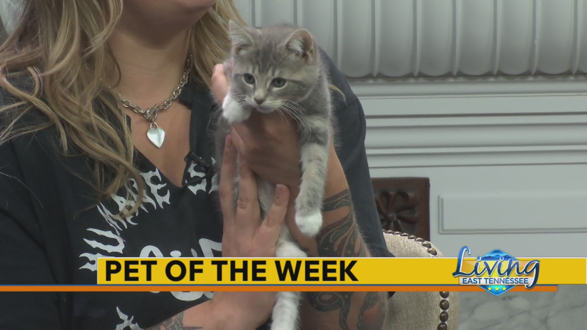 Pet of the Week: June 24, 2026 – WATE 6 On Your Side