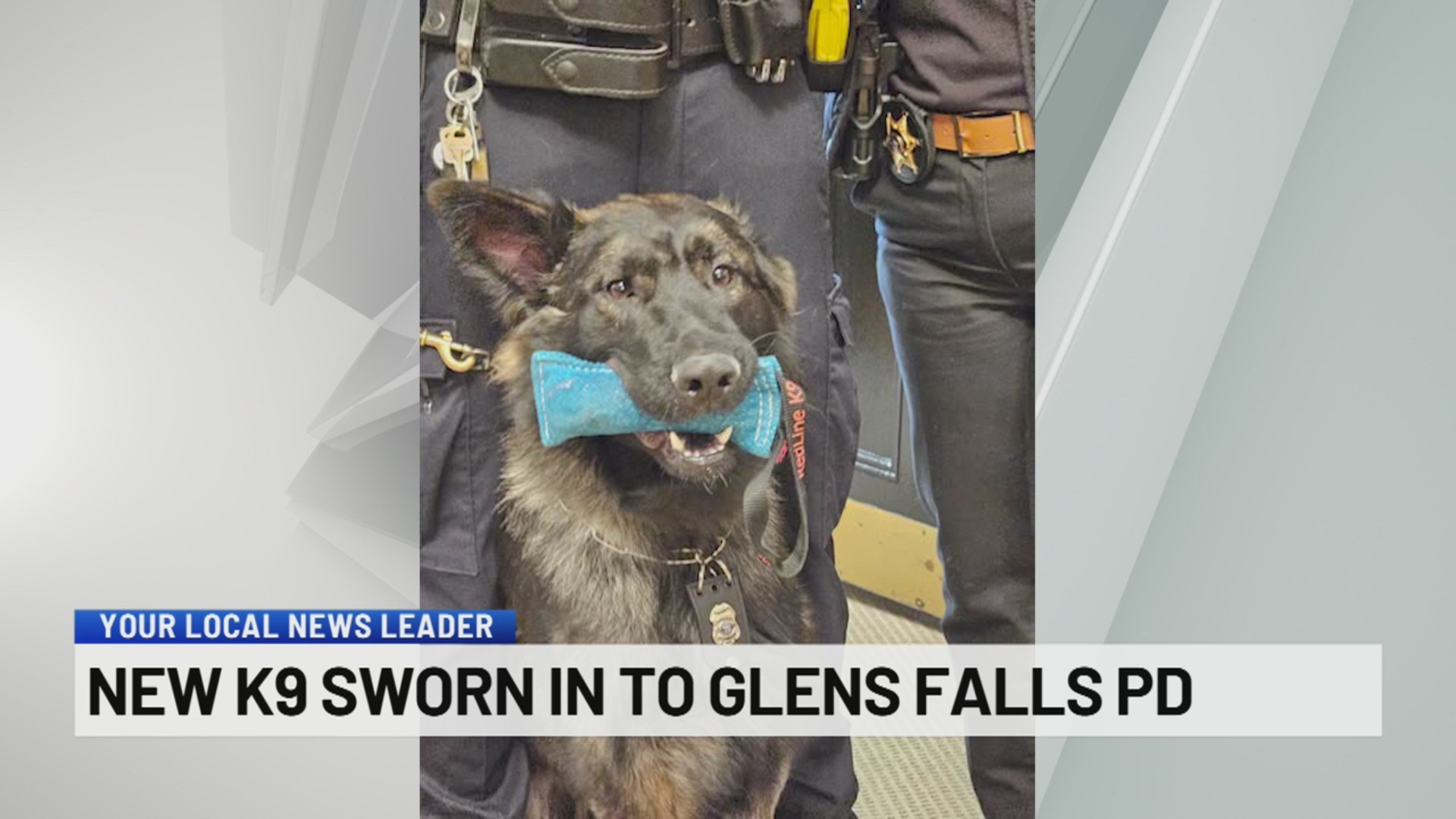 New K9 sworn in to Glens Falls PD – NEWS10 ABC