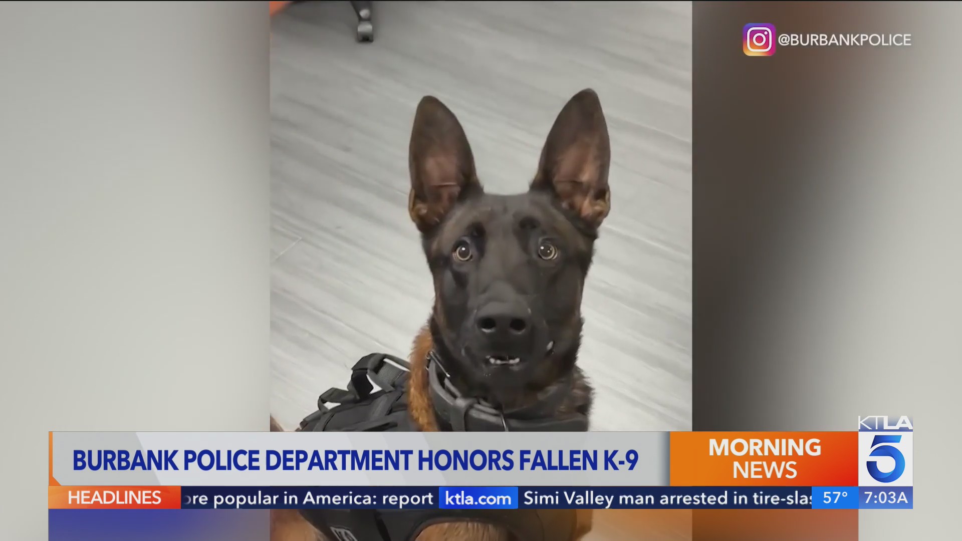 Community mourns Burbank K9 officer killed in the line of duty – KTLA