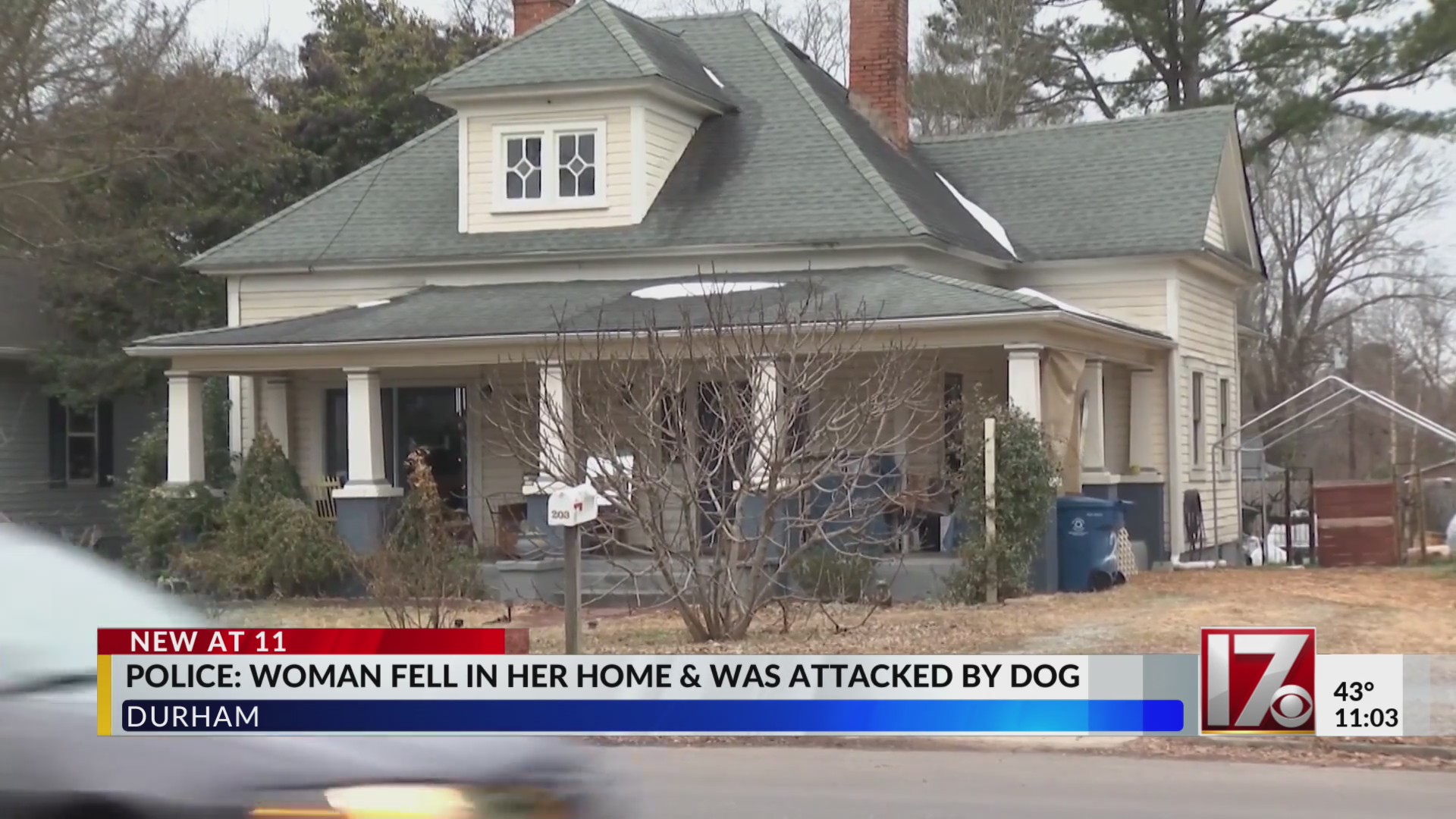 Durham woman dies after dog attack – CBS17.com