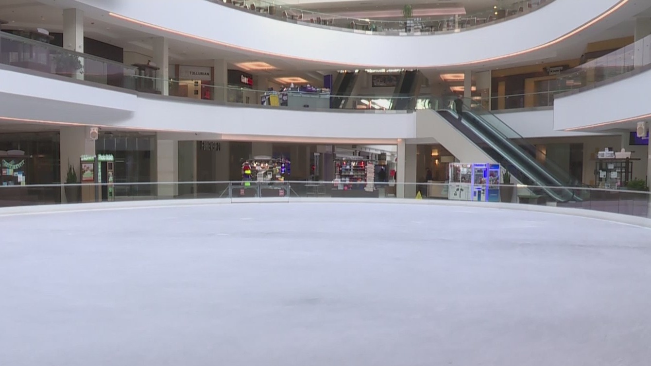Ice Rink Maya Lin Community members try to save Lloyd Center ice rink after mall ...