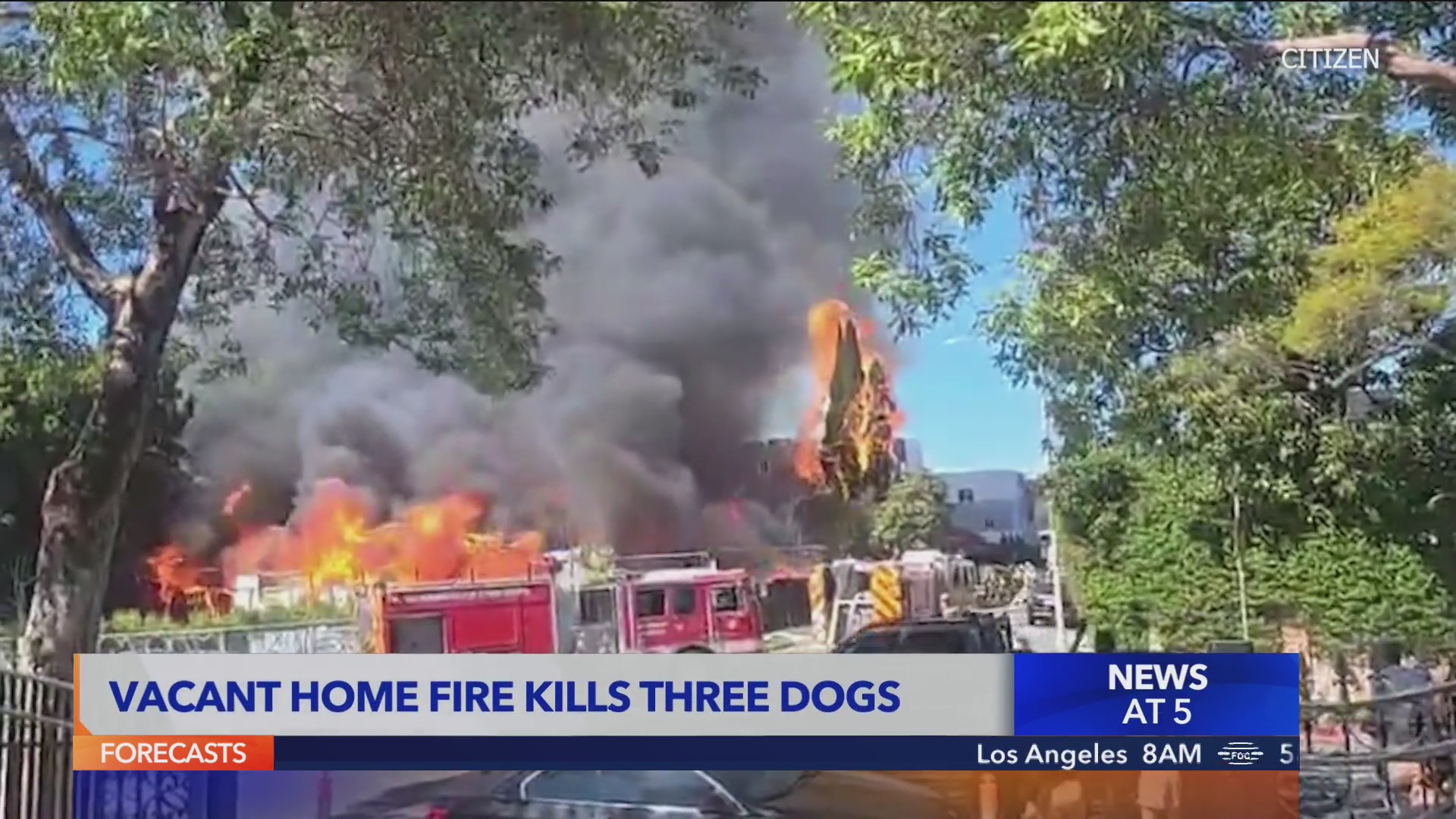 House Fire Kills Three Dogs in – KTLA