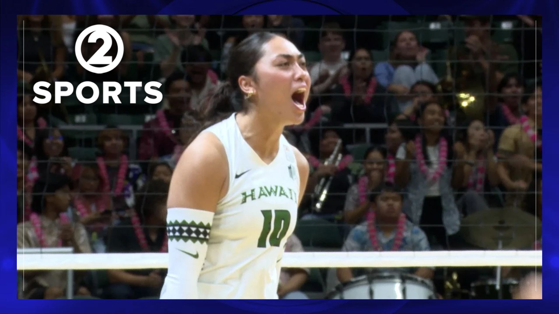 Timmy Live Stream Rainbow Wahine volleyball becoming a hot ticket amid 10-match winning ...