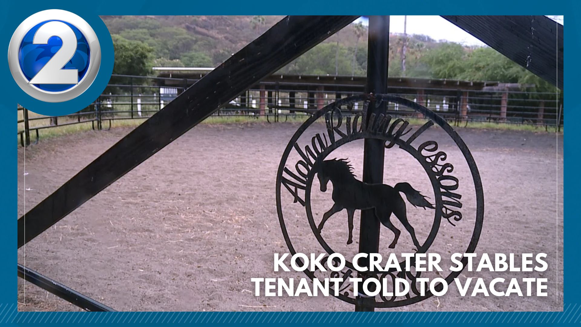 Timmy Live Stream Koko Crater Stables tenant told to vacate – KHON2