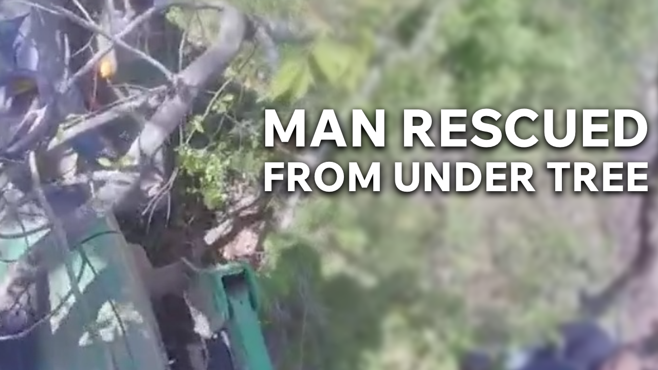 Emergency crews rescue man trapped under tree – WKBN.com